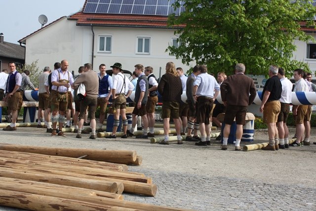 Maibaum 2013